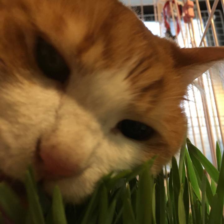 8e16233c 6df1 48b8 ad3d 5d1bc1eef5f4 1568959804060