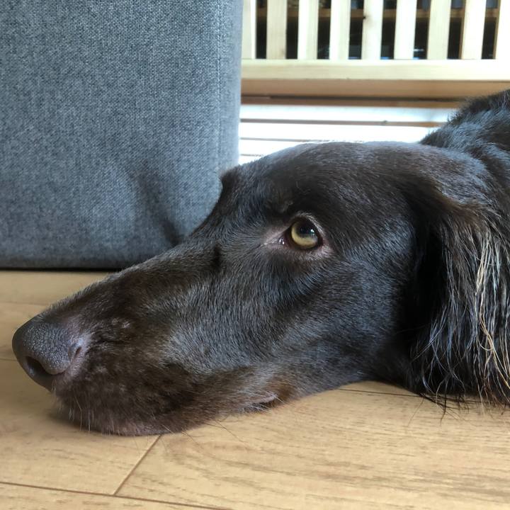 8e165241 47bd 41b9 a364 5d08357682a8 1588557049883