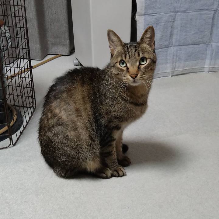 8e1671e4 711a 4912 9260 dce9d6d89ef0 1666951057332