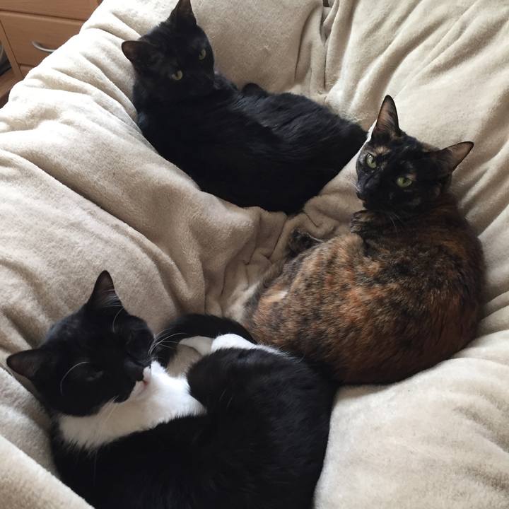 8e1677a2 3849 44d5 b416 cb180c25fb12 1521520462615