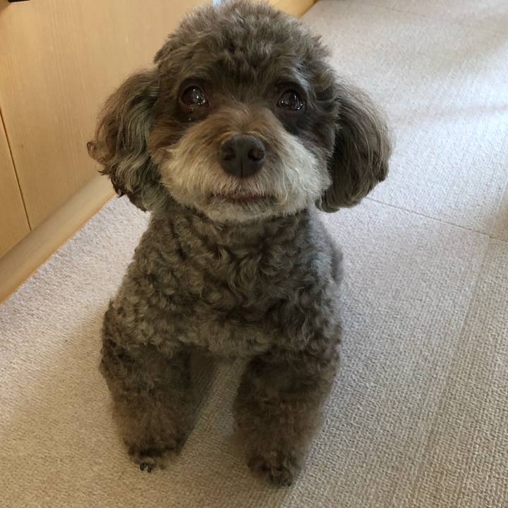 8e1693de cbf0 4cce bfa9 28abf2746fe6 1597310249030