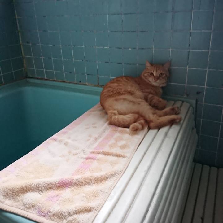 8e169d9d c371 4781 91e4 59fe51926748 1657707629783