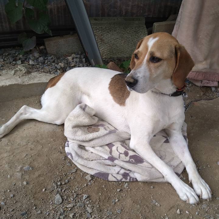 8e16d3f1 97ab 4d36 aa8c 7188272e5d99 1623732053690