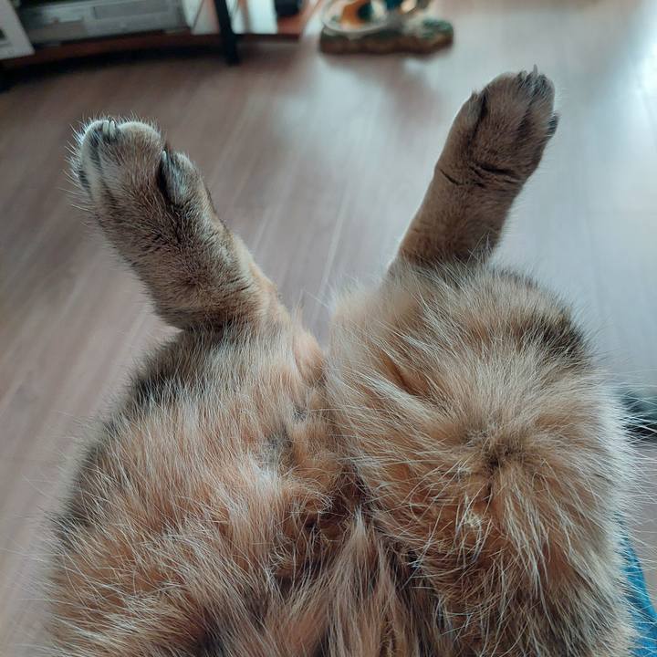 8e16dd45 aaa6 433f 8e73 95251464f4c9 1731903550541