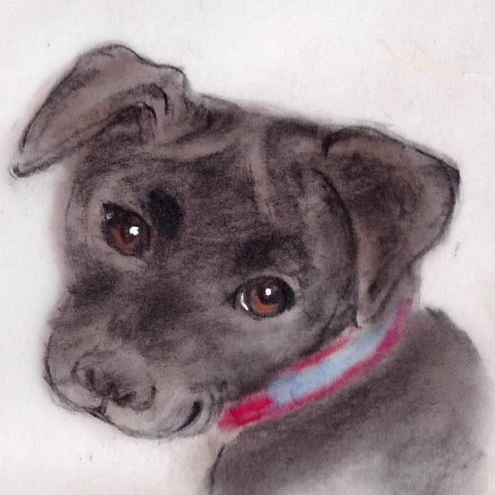 8e16e380 0529 40f5 9254 3907a89b8a22 1675864716218