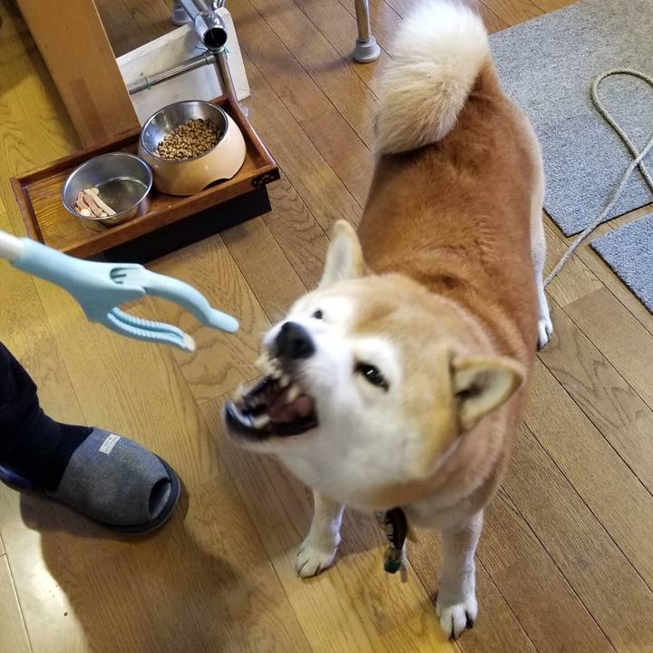 8e170095 409f 48b8 99eb f86a277a0230 1605414421805