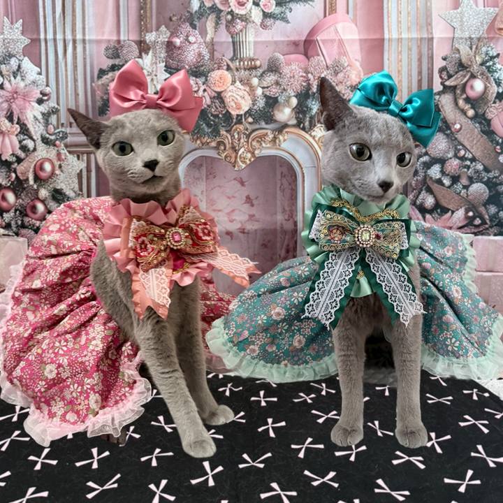 8e171788 f576 4fb7 9230 f88d409cab7a 1763089112747