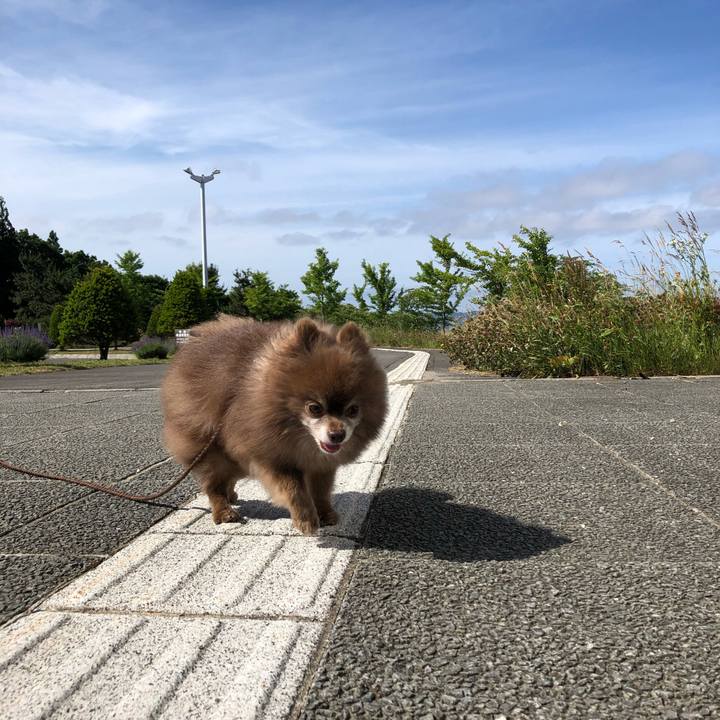 8e172512 24b0 458f bcec dddcb865332f 1625358486154