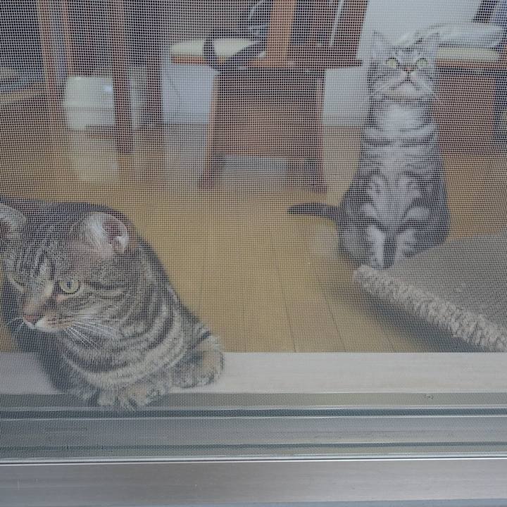 8e174afd 6d53 46c7 aff2 d6c17bff99d5 1604472433278