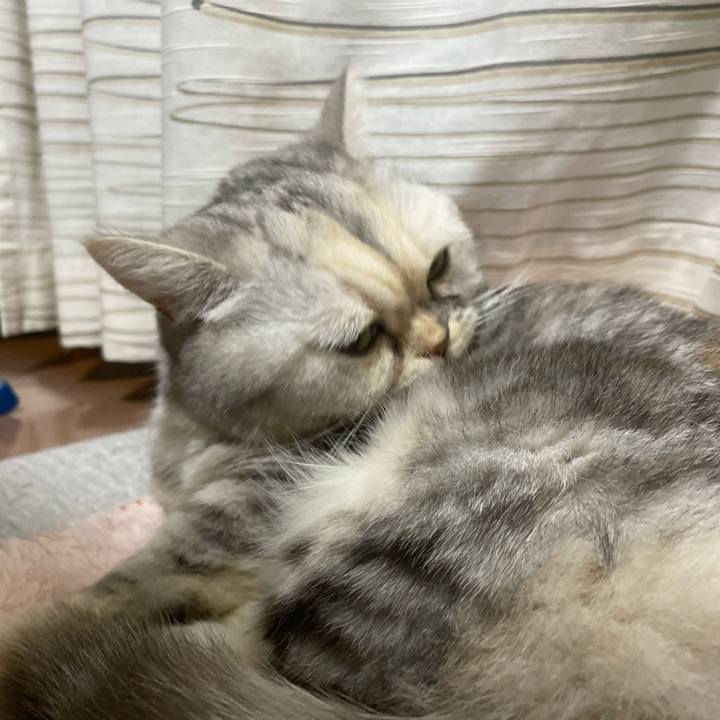 8e1753e2 eb83 4e32 837a 857bd71eea35 1739355850206