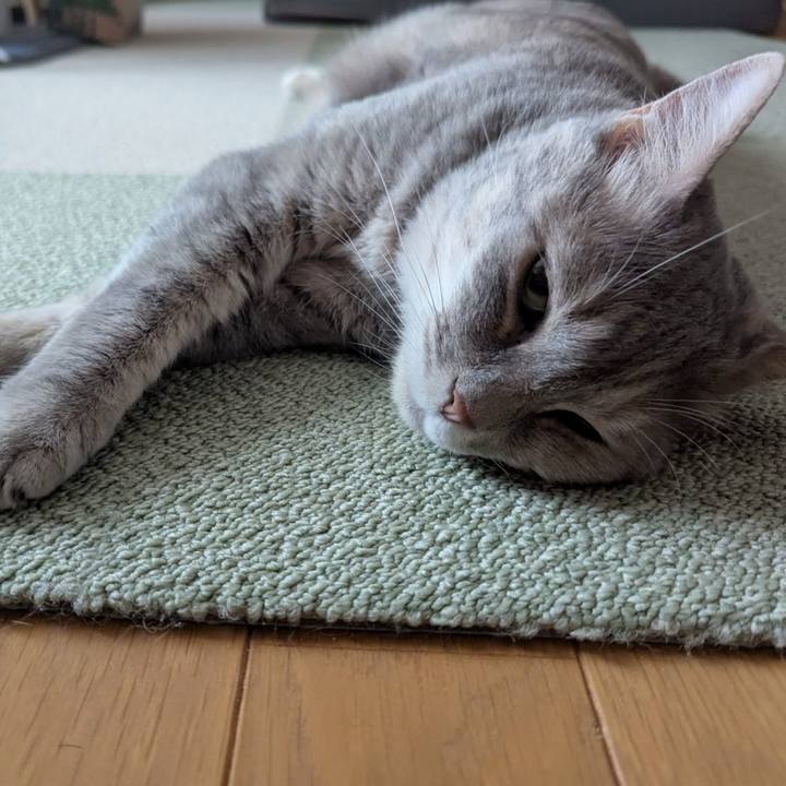 8e1765c3 a94e 435d 8035 8e8425f77ed5 1750488677425