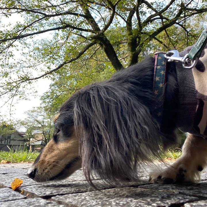 8e176c72 9762 44ee a3a9 3e199f6a8054 1756685334327