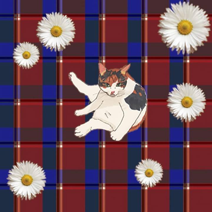 8e1809e9 699b 4ef6 ab2b 4c7cbf6ff9f5 1612271957517