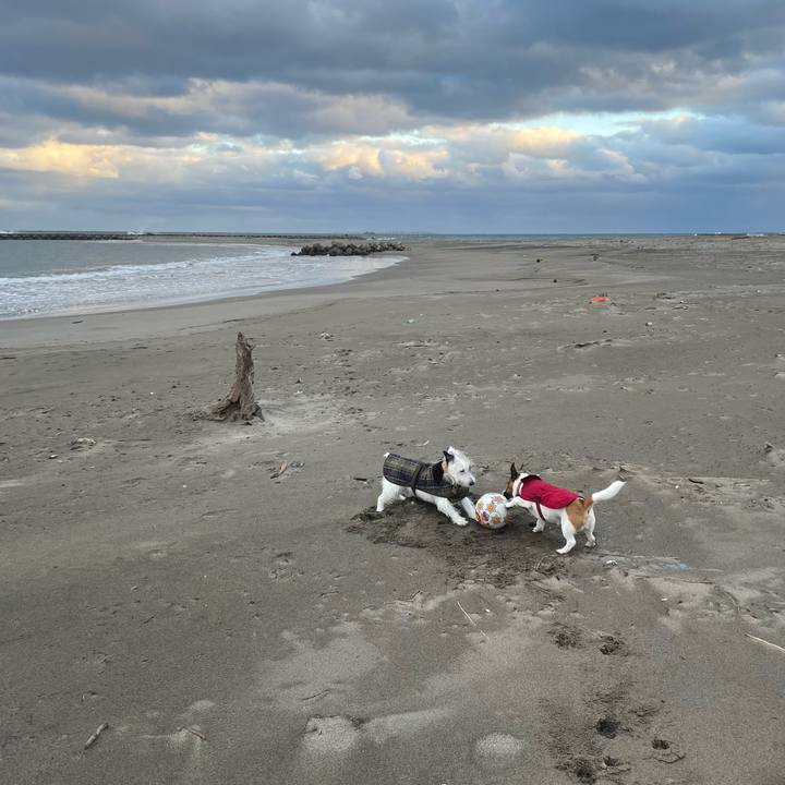 8e181305 fbfc 4642 8a6d b9b6d1042a51 1702427736454