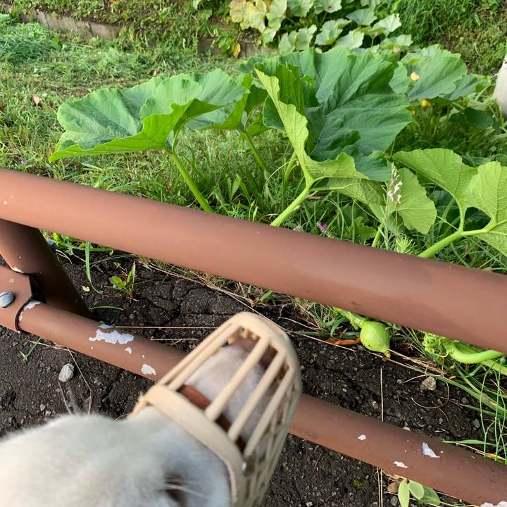 8e182dc5 a765 4c2b 929c 857f6c46a51f 1567289291910