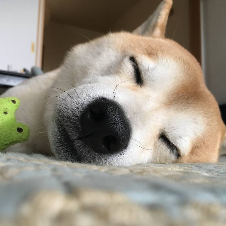 8e182f30 033c 49fa 9c48 fe94a644bdd9 1762115659836