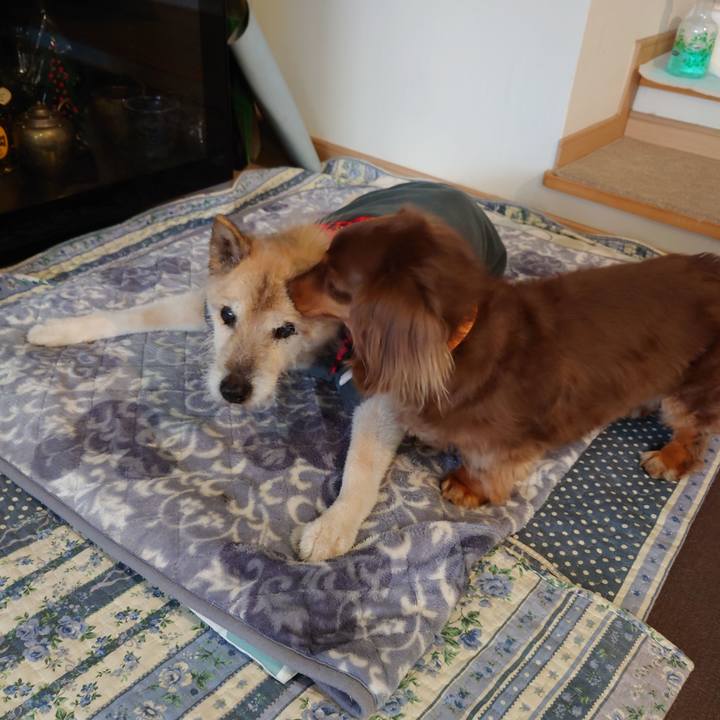 8e183d56 4661 4744 b167 dec569a52bc9 1648084306828