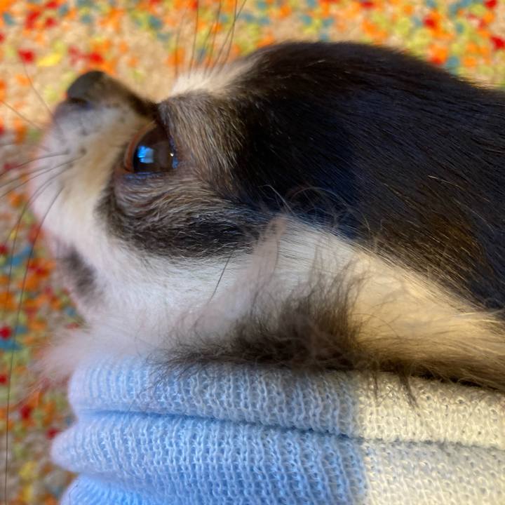 8e1860ce 664c 45cf a555 f6ca68dfa527 1711798276874