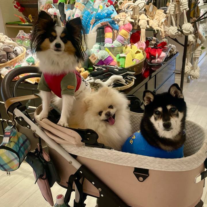 8e18ec20 70a6 4f0d a894 77975085ad2f 1728057188843