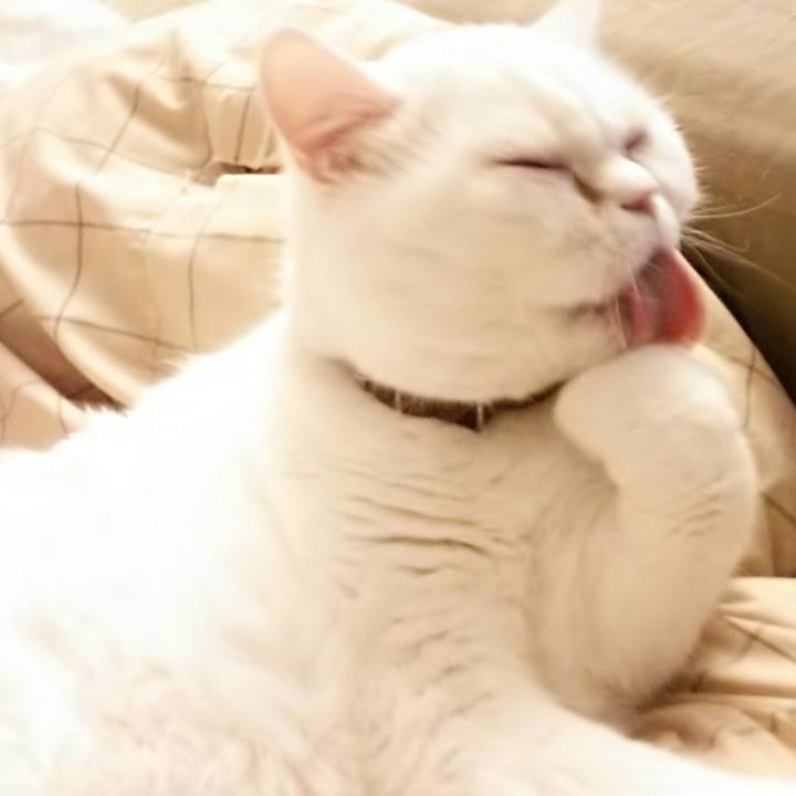 8e1916fc 1132 493e a1f3 e342a4354eef 1517266476105