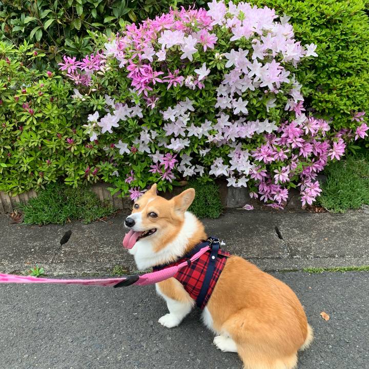 8e191c8e 1c98 4d0c b6ec 6bfc6a1e8f5b 1650767225979