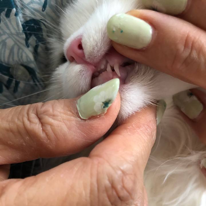 8e1926b1 e933 408a 970b a3983f98d39c 1596509221637