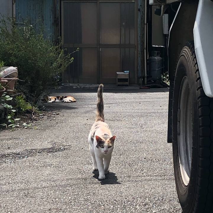 8e1996fe 25f7 45cc ba22 0a597f087b2a 1593517449171