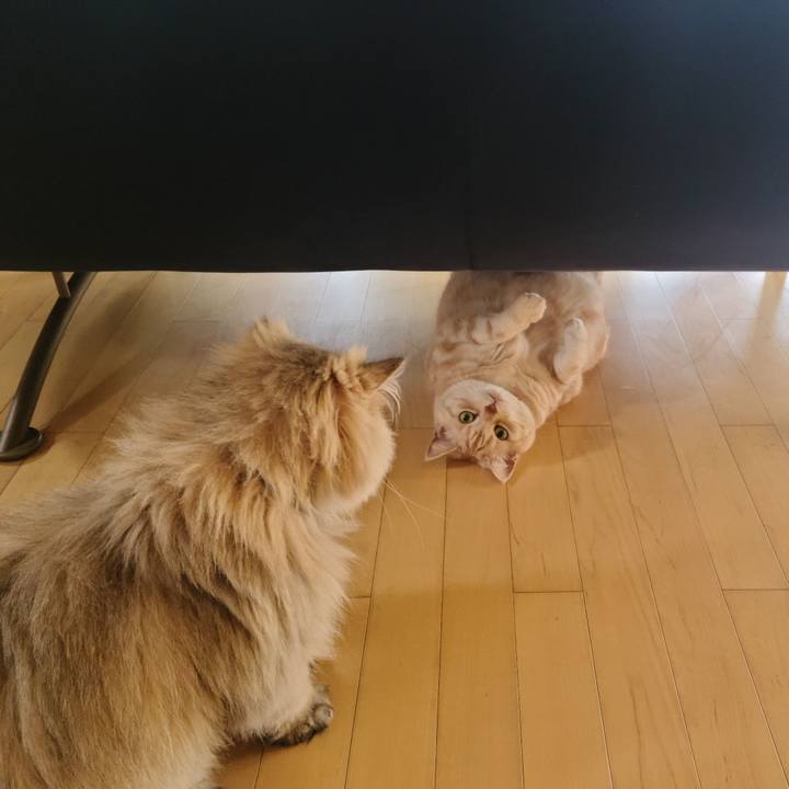 8e19efa9 82ea 402f 835c e722ec5ab0d5 1681793005685