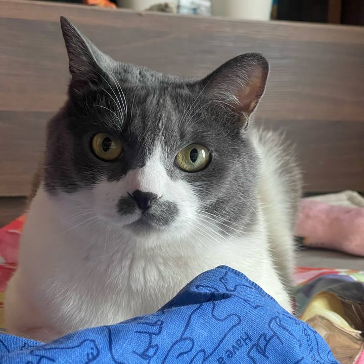 8e19f1e3 fb69 4801 9567 ea1ec74645a7 1752109024260