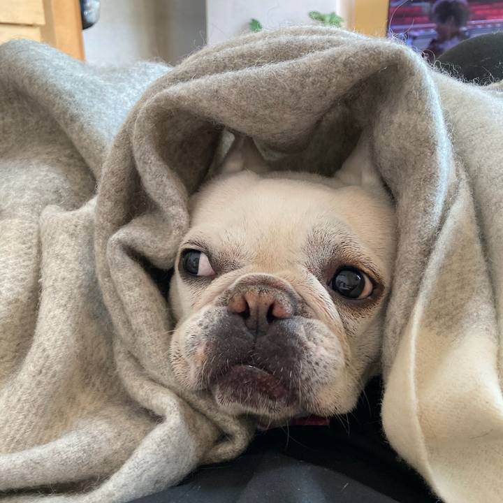 8e1a38fa d777 423e b1ee 8081cf19d873 1740438076117