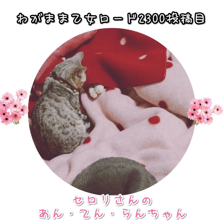 8e1a5282 2bbf 4f31 9691 3479214137eb 1578993307205