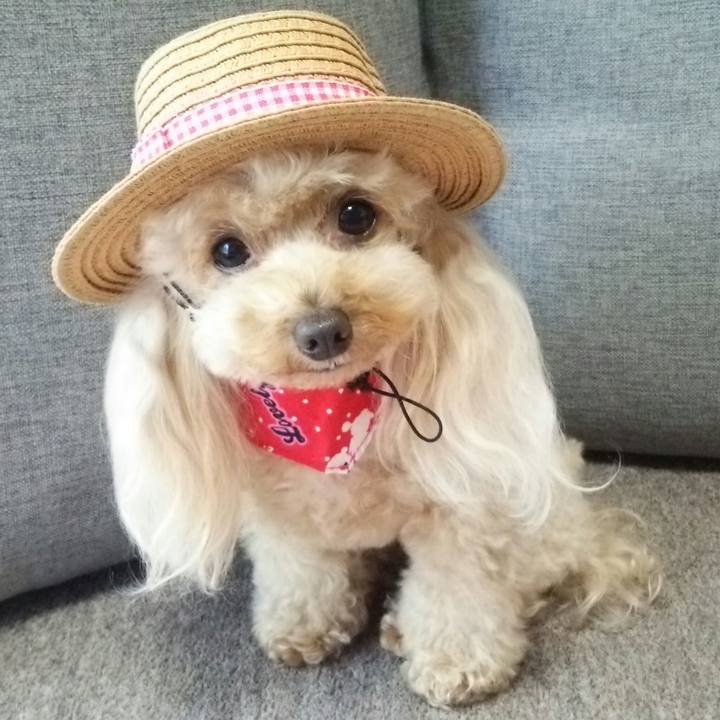 8e1ada01 6d4b 4086 84e5 c4833a8eeb7e 1561182139786