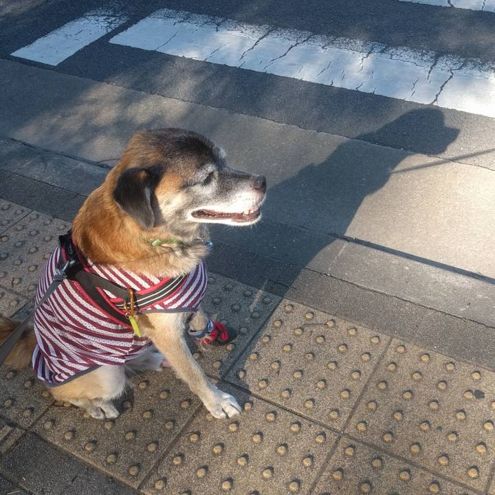 8e1ae906 6220 4e7c 8837 95a7e97af905 1535325648813