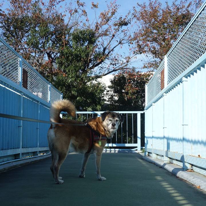 8e1af5a9 048f 430a 9b40 3b8658f03f0a 1651972151018