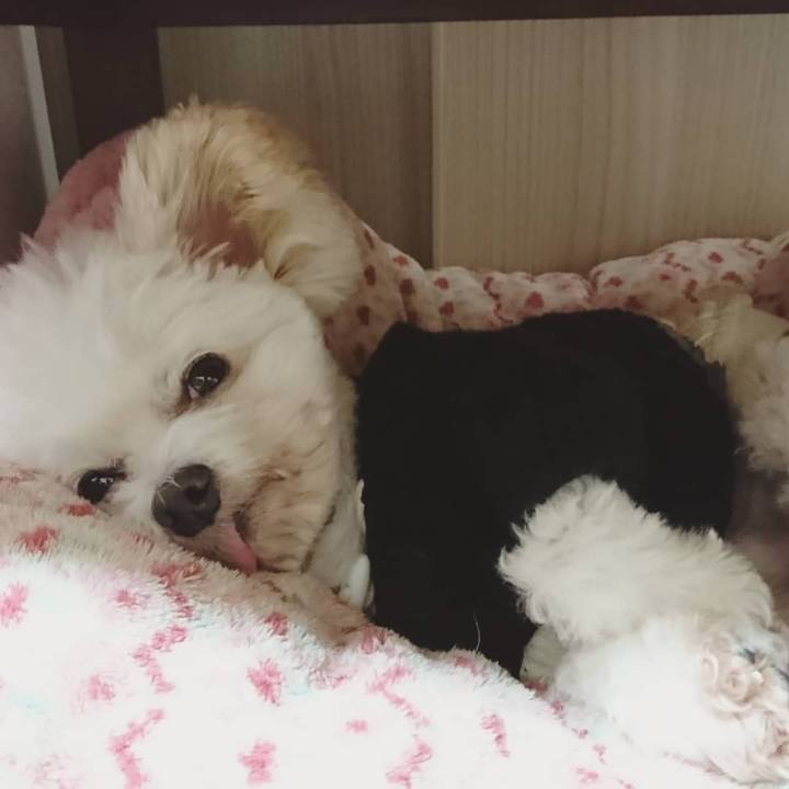 8e1afde7 deb4 4b12 891e d794991419e9 1548999369510