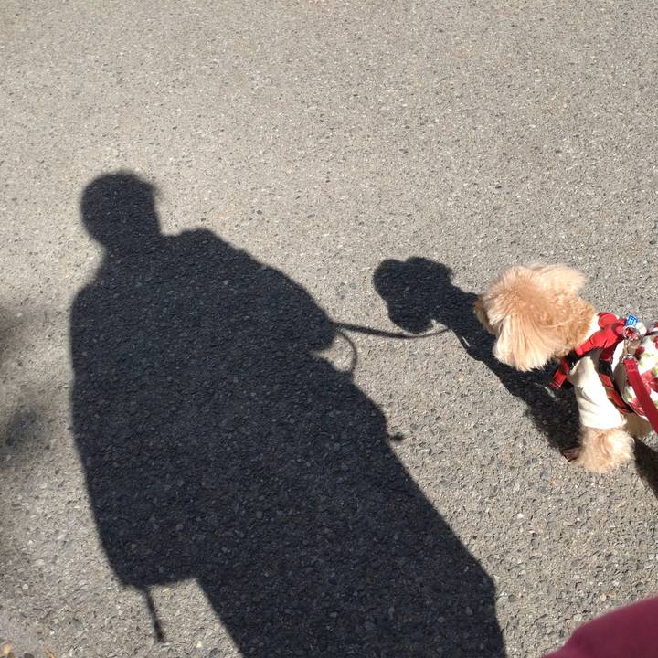 8e1b6112 b098 456f 84e6 e05730340452 1636374210706