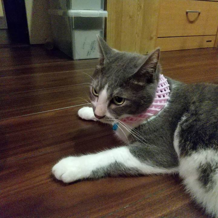 8e1b6f1f 696d 489e ad40 7086775d3126 1628421745277