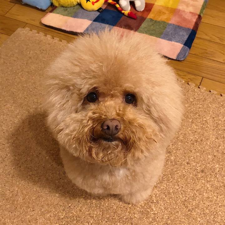 8e1b7050 2cd4 4d03 a7a5 9ec1f5f76241 1552308728546