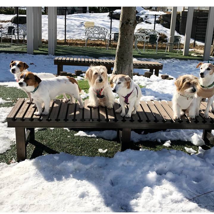 8e1b9742 30d0 4ca0 a00c 8d370b5f7b3e 1517047743224