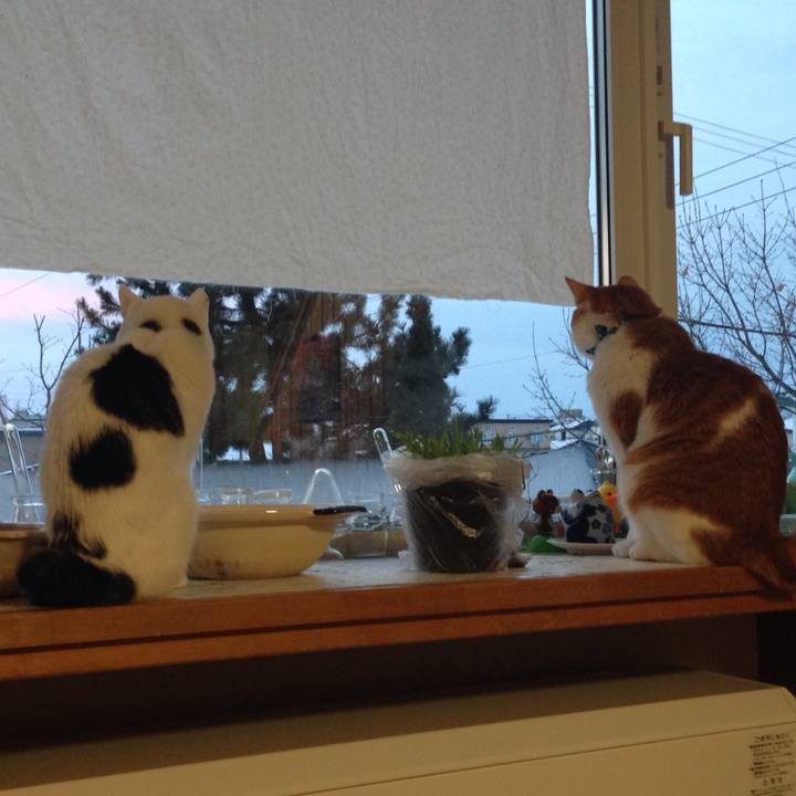 8e1bb3a1 9ece 497d 906f e2b3a3c8b93e 1515707668960