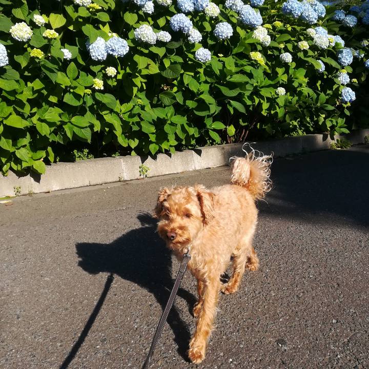 8e1bc151 103f 4541 a659 9649eb008245 1531346077728