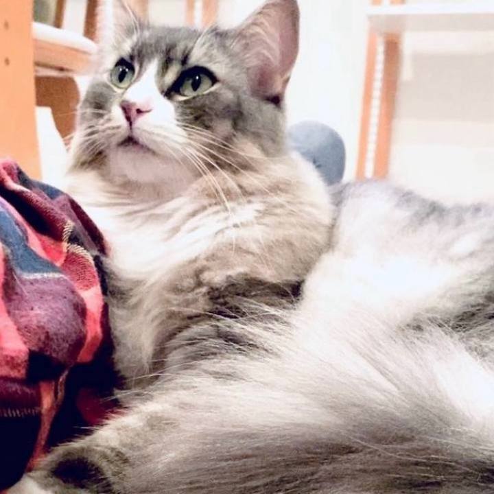 8e1bf05e e475 4705 8be0 e95e13e090ff 1761670796659