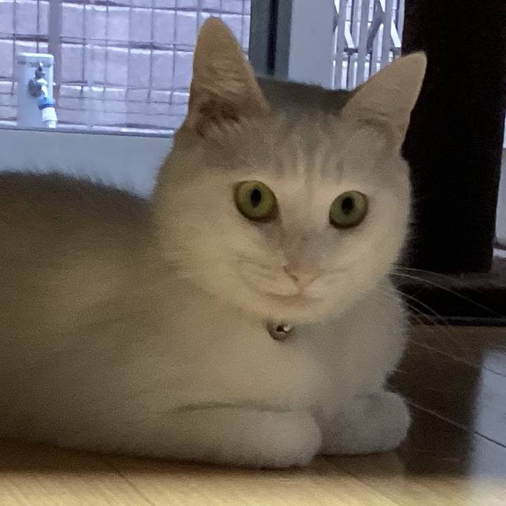 8e1bf3e1 83c1 434d b193 a64544964f58 1665096206365