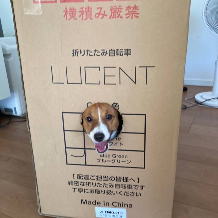 8e1c0d67 bec1 4e8a 8f99 f4bf22015b9d 1599875637475