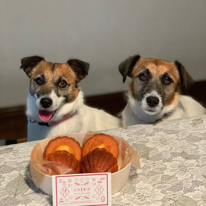 8e1c6232 edc1 42d4 90e6 a4b3e0c4836f 1624082059029