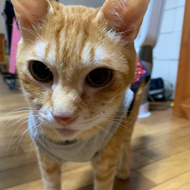 8e1d0bdd 90ab 4767 9d58 abce6eb0b416 1618523861008