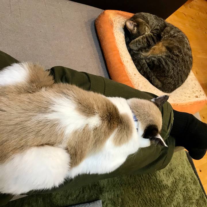 8e1d1231 aec9 4cf9 b084 31e1440dc3ec 1613393837529