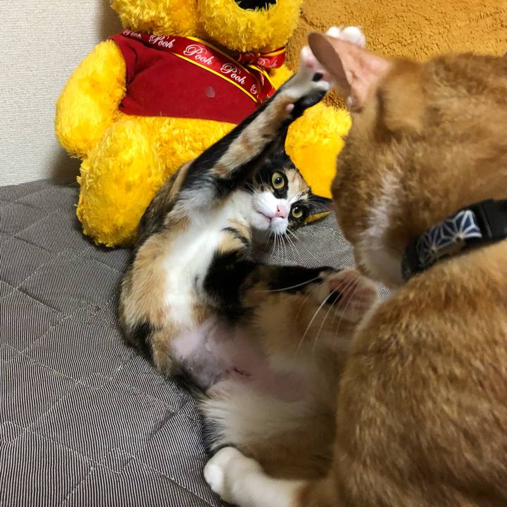 8e1d1590 5f20 429f 9b02 8cab58464a26 1562721204145