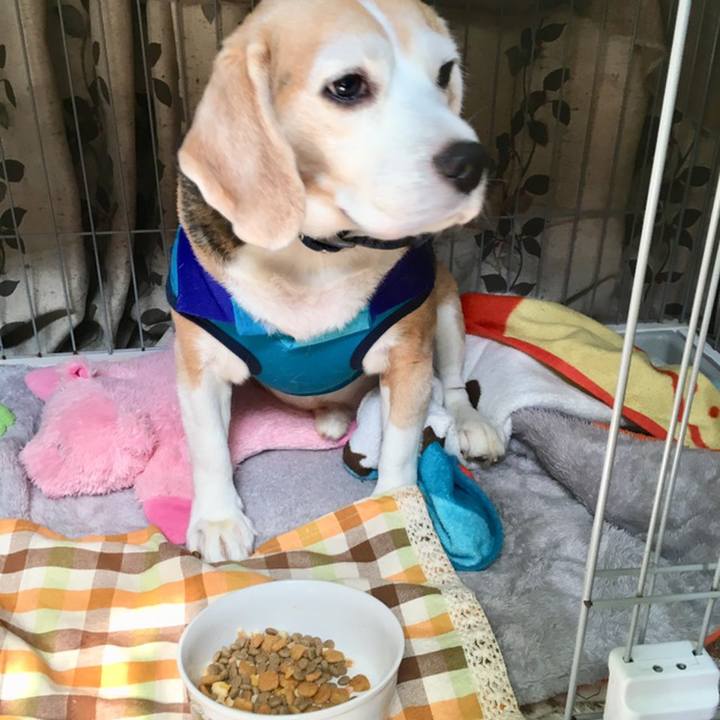 8e1d240e f490 4ef5 8ed1 e942d660767d 1558494621033