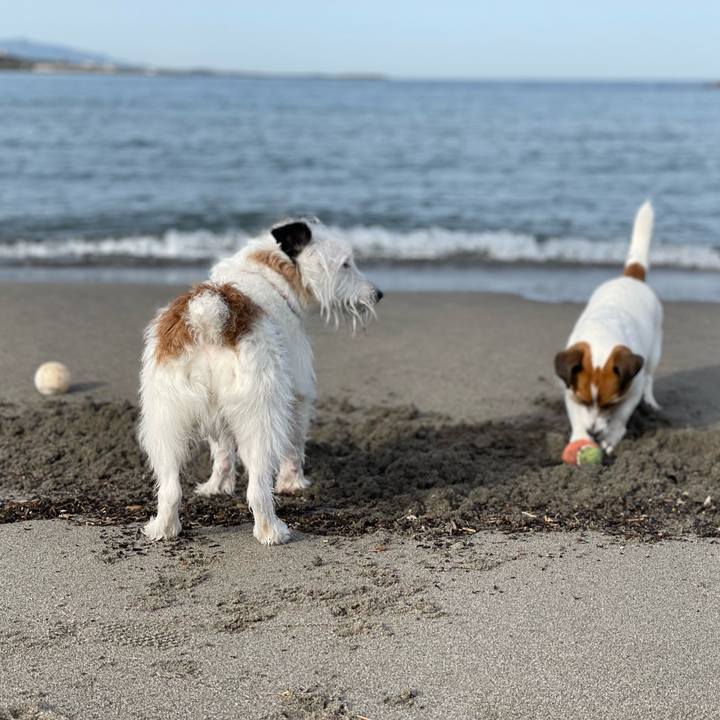 8e1d35cb 763e 49ff b696 5c2ea00881dc 1681172062414